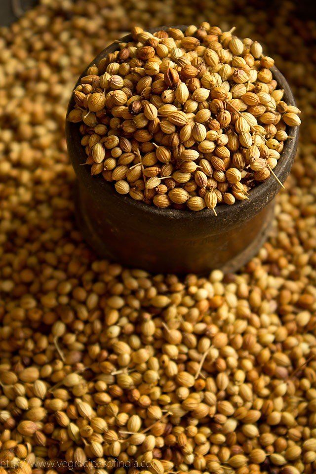 Coriander seeds