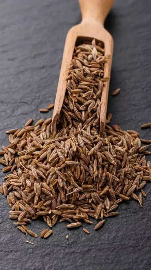 Cumin seeds