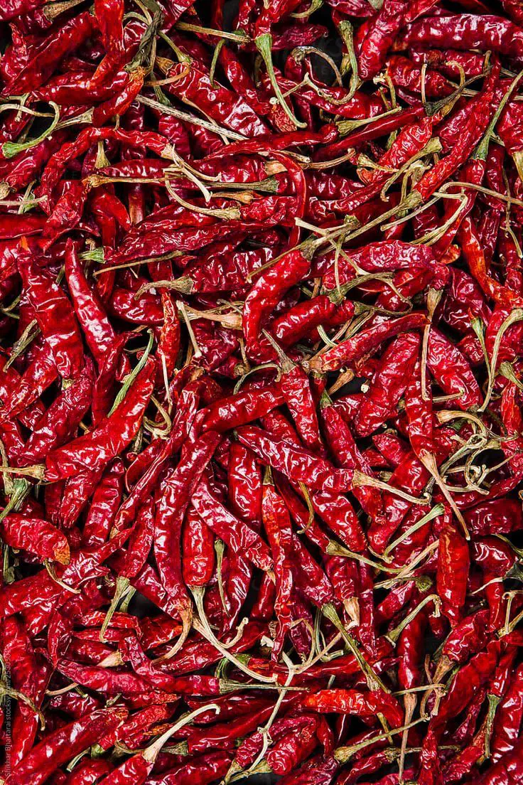 Dried red chillies